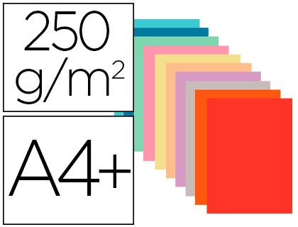 EXACOMPTA Chemise exacompta super carte 240x320mm 210g coloris assortis pack 100 unités.