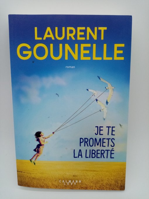 Laurent GOUNELLE   Je te promets la liberté