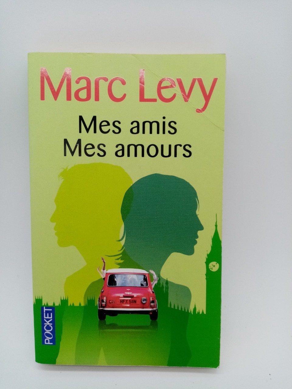 LEVY Marc   Mes amis mes amours