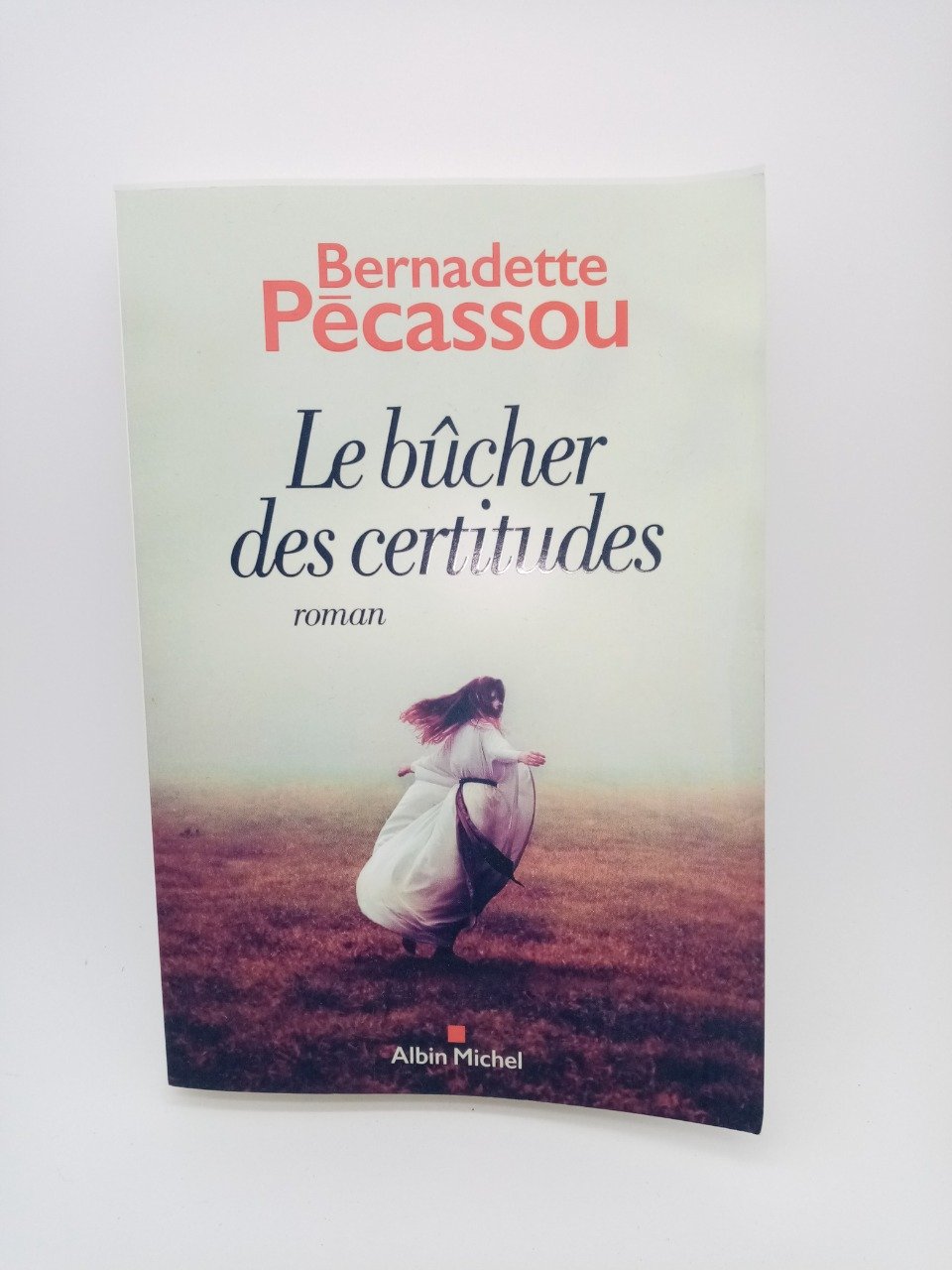 Bernadette Pécassou, Le bûcher des certitudes