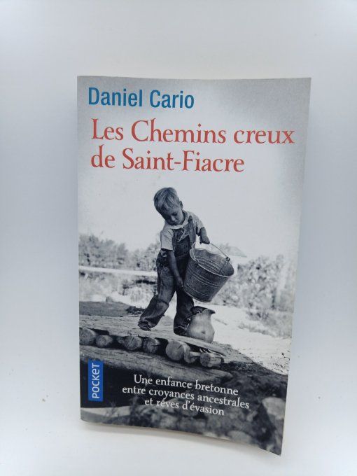 CARIO Daniel   Les chemins creux de Saint-Fiacre