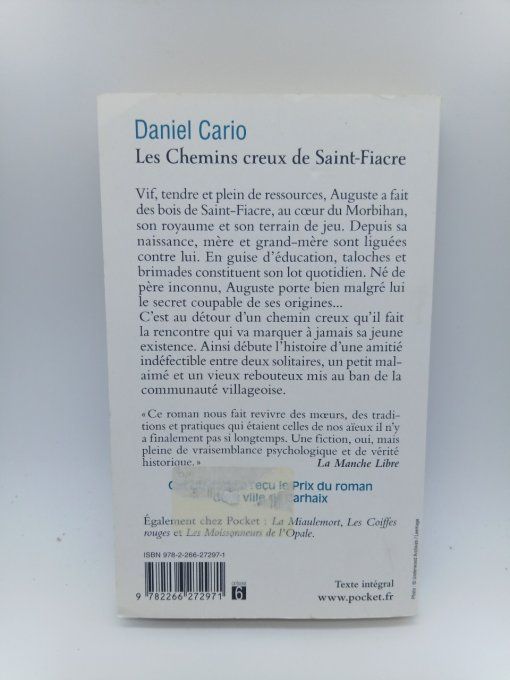 CARIO Daniel   Les chemins creux de Saint-Fiacre