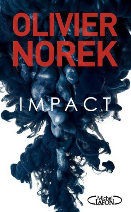 Olivier NOREK, Impact